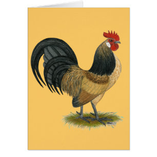 Nederlandse Bantam:  Blue Quail Rooster