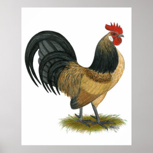 Nederlandse Bantam:  Blue Quail Rooster Poster