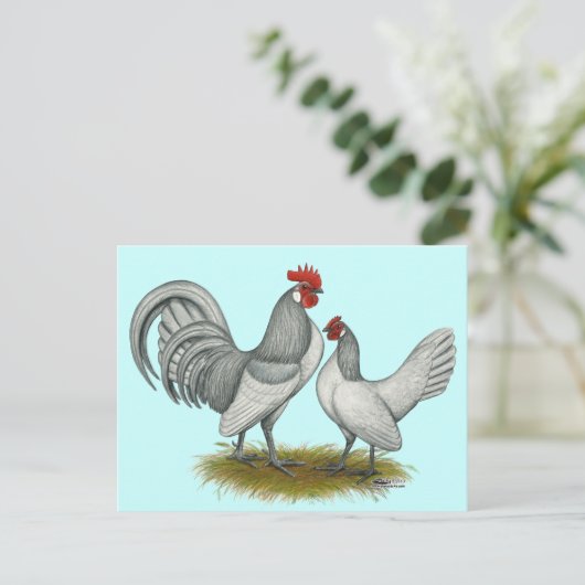 Nederlandse Bantam:  Zelfblauw Briefkaart (Staand voorkant)