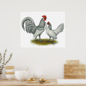 Nederlandse Bantam: Zelfblauw Poster (Keuken)