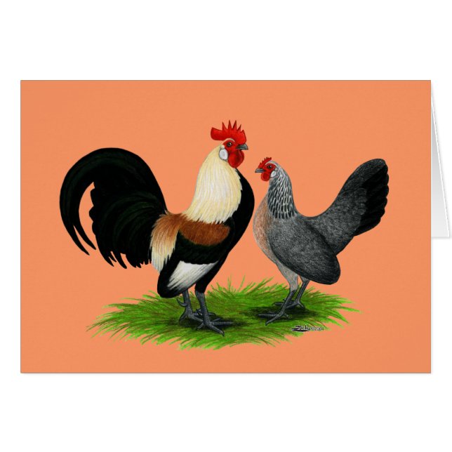 Nederlandse bantams:  Cream Light Brown (Voorkant Horizontaal)