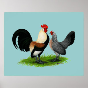 Nederlandse Bantams: Cream Light Brown Poster