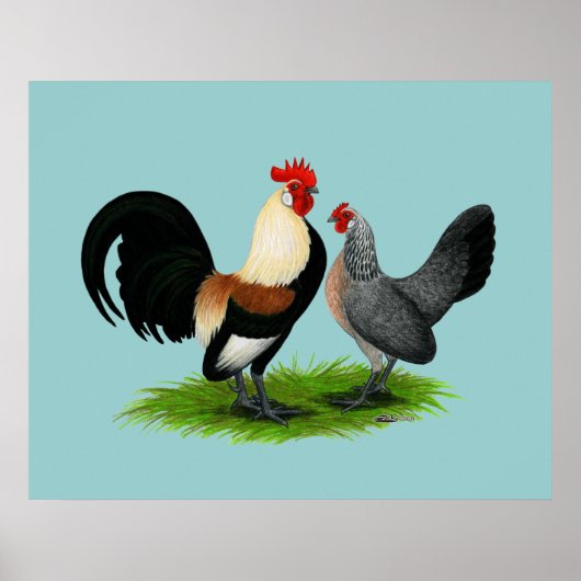 Nederlandse Bantams: Cream Light Brown Poster (Voorkant)