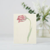 Nederlandse beeldende kunst: roze en witte tulp Briefkaart (Staand voorkant)
