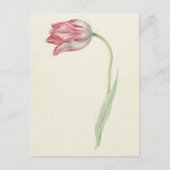  Nederlandse beeldende kunst: roze en witte tulp Briefkaart (Voorkant)