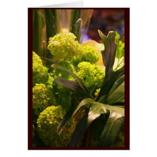 Nederlandse bloemen