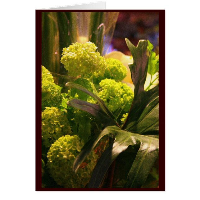 Nederlandse bloemen (Voorkant)