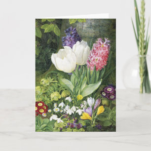 Nederlandse Bulb Spring Flowers Kaart