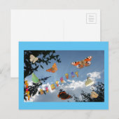 Nederlandse Butterflies Cust. Lijst Briefkaart (Voorkant / Achterkant)