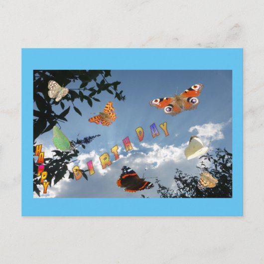 Nederlandse Butterflies Cust. Lijst Briefkaart (Voorkant)