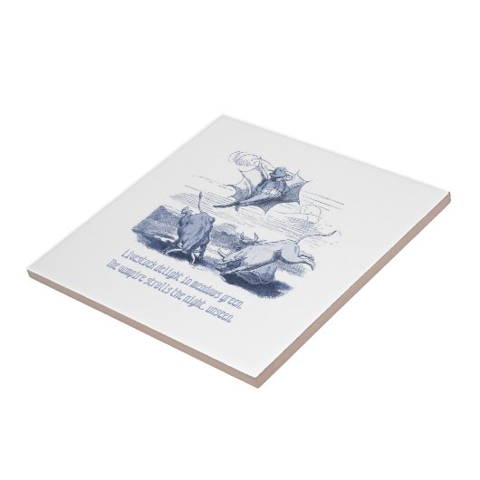 Nederlandse Delft Wilhelm Busch geïnspireerd speel Tegeltje (Zijkant)