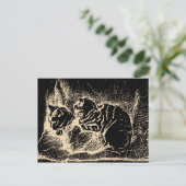 Nederlandse fijne kunst - twee slaapkatten Briefkaart (Staand voorkant)