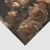 Nederlandse Gouden Eeuw Stijl Etherische Perzik Bl Tissuepapier (Detail)