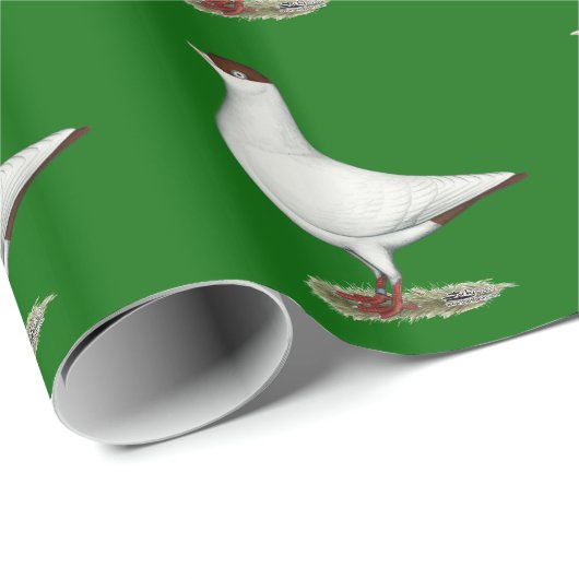 Nederlandse Helmduif Cadeaupapier (Rol Hoek)