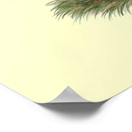 Nederlandse Helmduif Poster (Hoek)