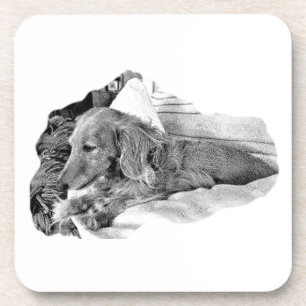 Nederlandse Hond Rustend – Grafische Onderzetter