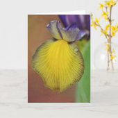 Nederlandse Iris Blank Note Kaart sluiten (Gele Bloem)