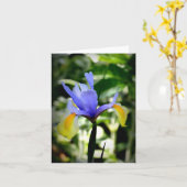 Nederlandse Iris Kaart (Gele Bloem)