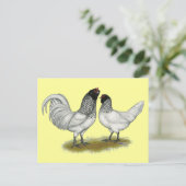 Nederlandse kippen briefkaart (Staand voorkant)