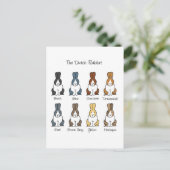 Nederlandse konijnenkleuren briefkaart (Staand voorkant)