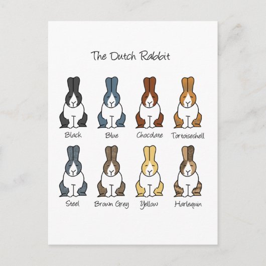 Nederlandse konijnenkleuren briefkaart (Voorkant)