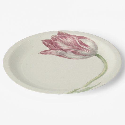  Nederlandse kunst: Blush Pink en White Tulip Papieren Bordje (Gekanteld)