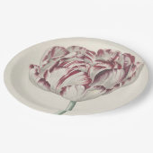  Nederlandse kunst: Witte en rode Tulip Papieren Bordje (Gekanteld)