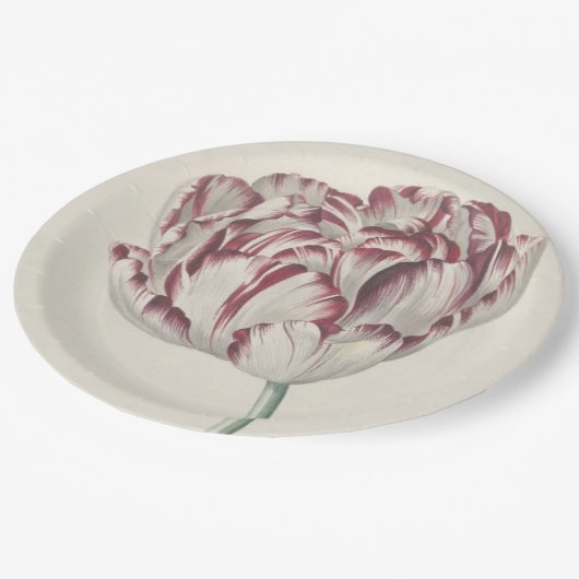  Nederlandse kunst: Witte en rode Tulip Papieren Bordje (Gekanteld)