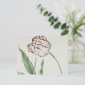  Nederlandse Kunst: Witte en Rode Tulp Briefkaart (Staand voorkant)