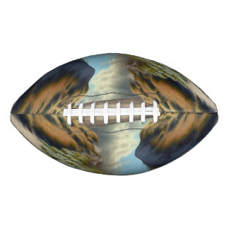 Nederlandse Kustduinen American Football