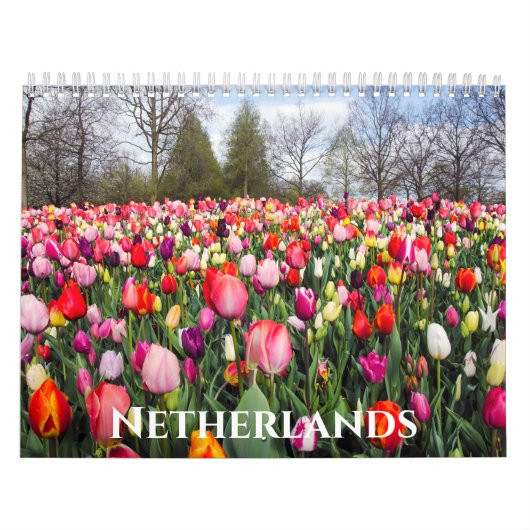 Nederlandse landschappen kalender (Hoes)