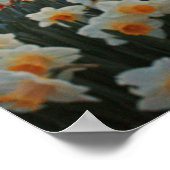 Nederlandse lente poster (Hoek)