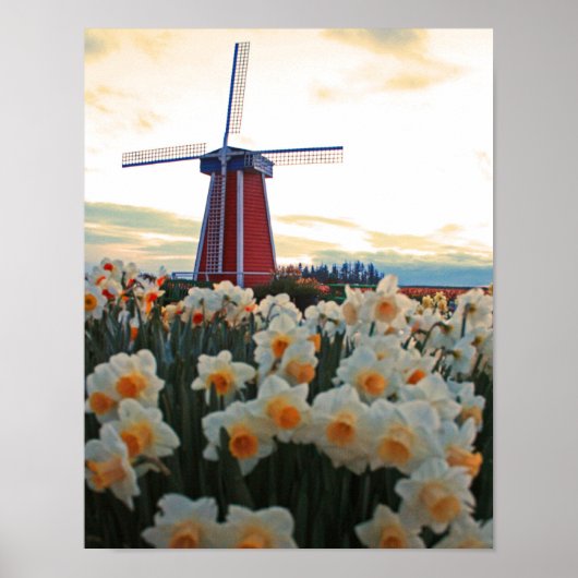 Nederlandse lente poster (Voorkant)