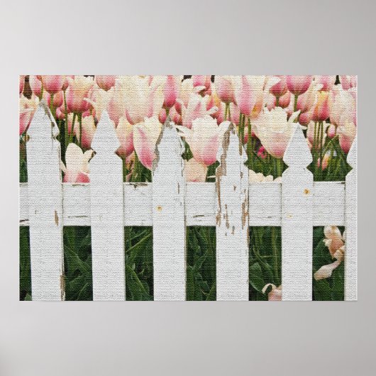 Nederlandse Roze Tulpen Tuin Poster (Voorkant)