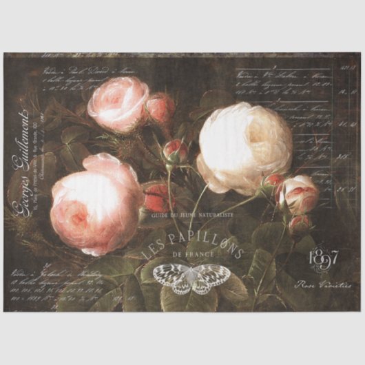 Nederlandse Rozen en  Ephemera-ontkoppeling Tissuepapier (Voorkant)