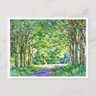 Nederlandse Salland Regio Westerveldse Bos Bos Briefkaart