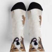 Nederlandse Schilderen Kooikerhondje - Dog Art Sokken (Top)