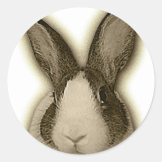 Nederlandse stekelstaart ronde sticker