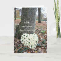 Nederlandse Sympathie Met oprechte deelneming