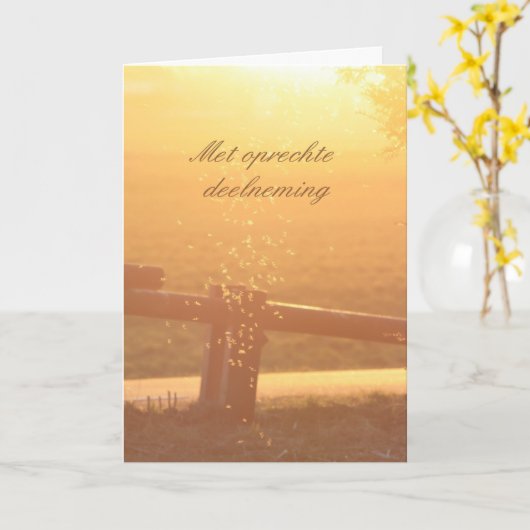 Nederlandse sympathie Sunlight Mosquito Kaart (Gele Bloem)