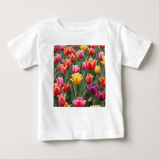 Nederlandse Tulpen (Voorkant)