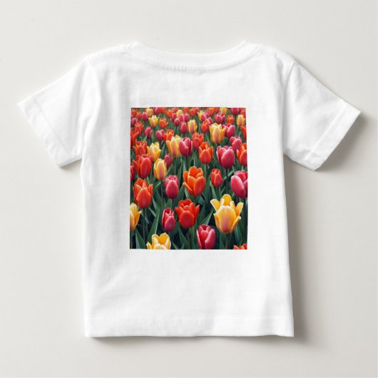 Nederlandse Tulpen (Achterkant)