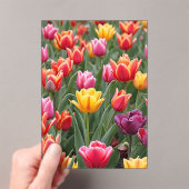 Nederlandse Tulpen Acryl Uitnodigingen (Insitu (Draagbaar))