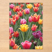 Nederlandse Tulpen Acryl Uitnodigingen (Voorkant)