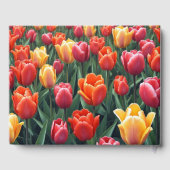 Nederlandse Tulpen Gastenboek (Achterkant)