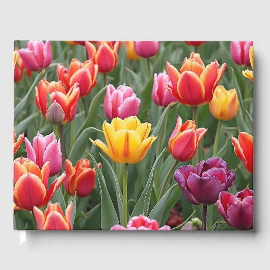 Nederlandse Tulpen Gastenboek (Voorkant)