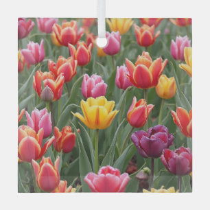 Nederlandse Tulpen Glas Ornament