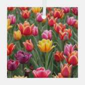 Nederlandse Tulpen Glas Ornament (Achterkant)