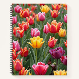 Nederlandse Tulpen Notitieboek