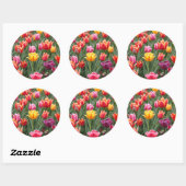 Nederlandse Tulpen Ronde Sticker (Vel)
